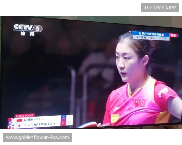 女团乒乓球决赛精彩对决直播 见证中国女将争夺世界荣誉 女团乒乓球决赛精彩对决直播 见证中国女将争夺世界荣誉